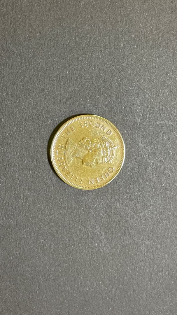 Hong Kong Dollars1978年香港硬貨10セント