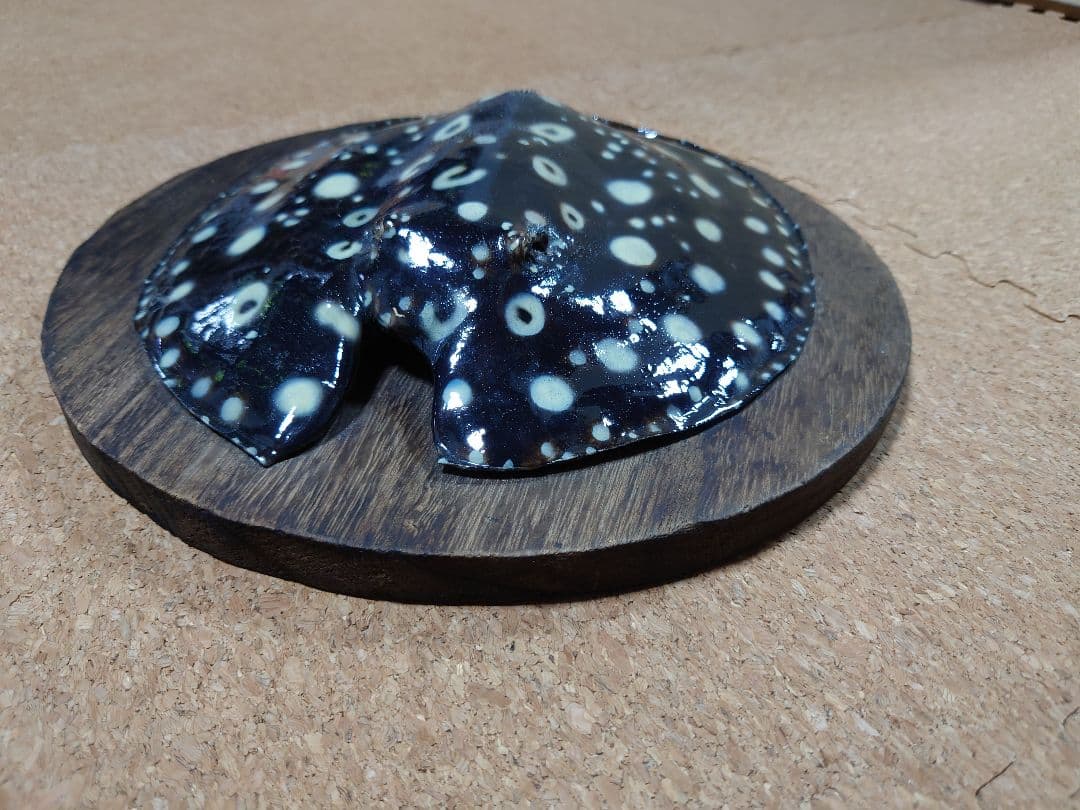 淡水エイ 剥製本物 熱帯魚 ダイヤモンドポルカ 標本