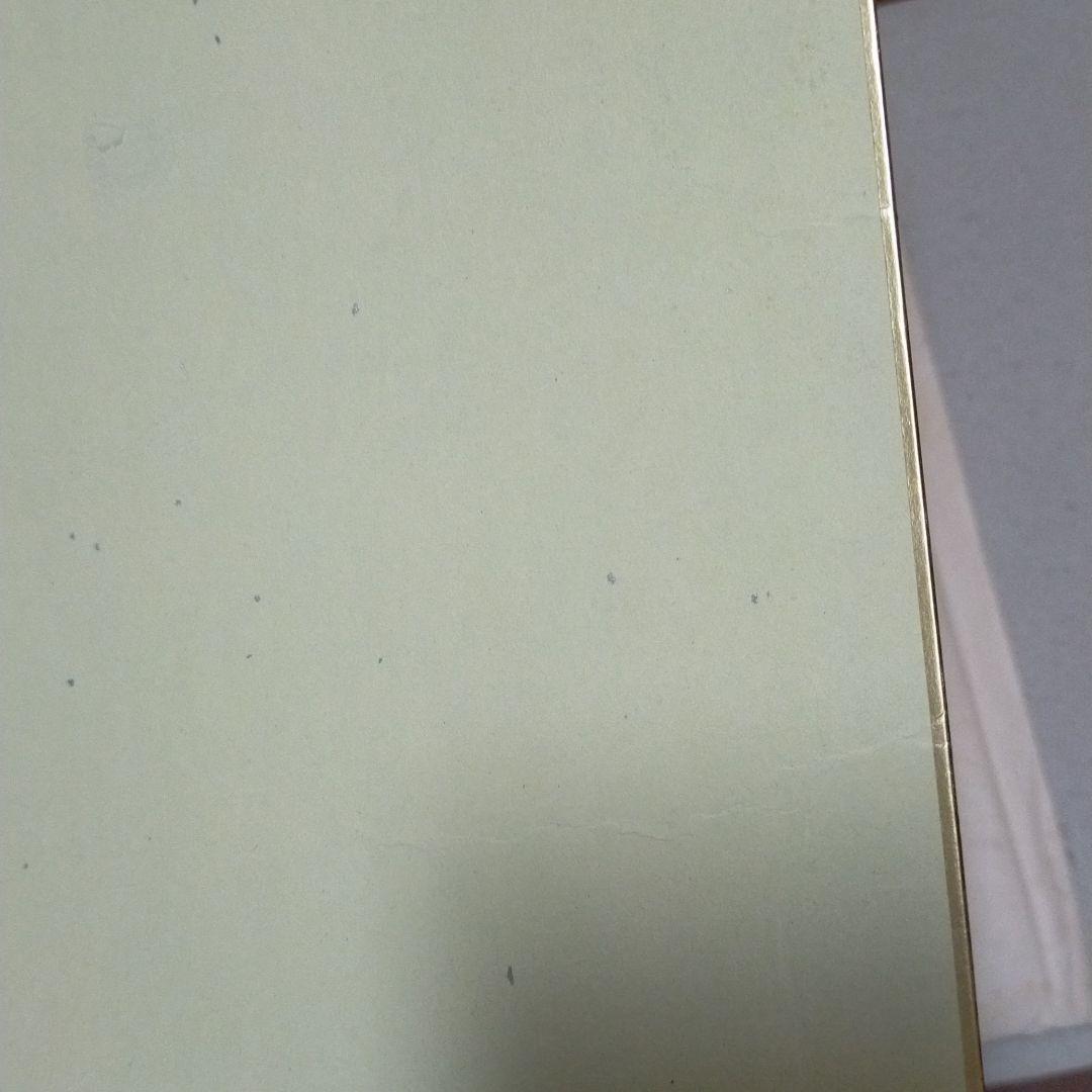 ポケモン　ピカチュウ　ピッピ　ギエピー　穴久保版　コロコロコミック