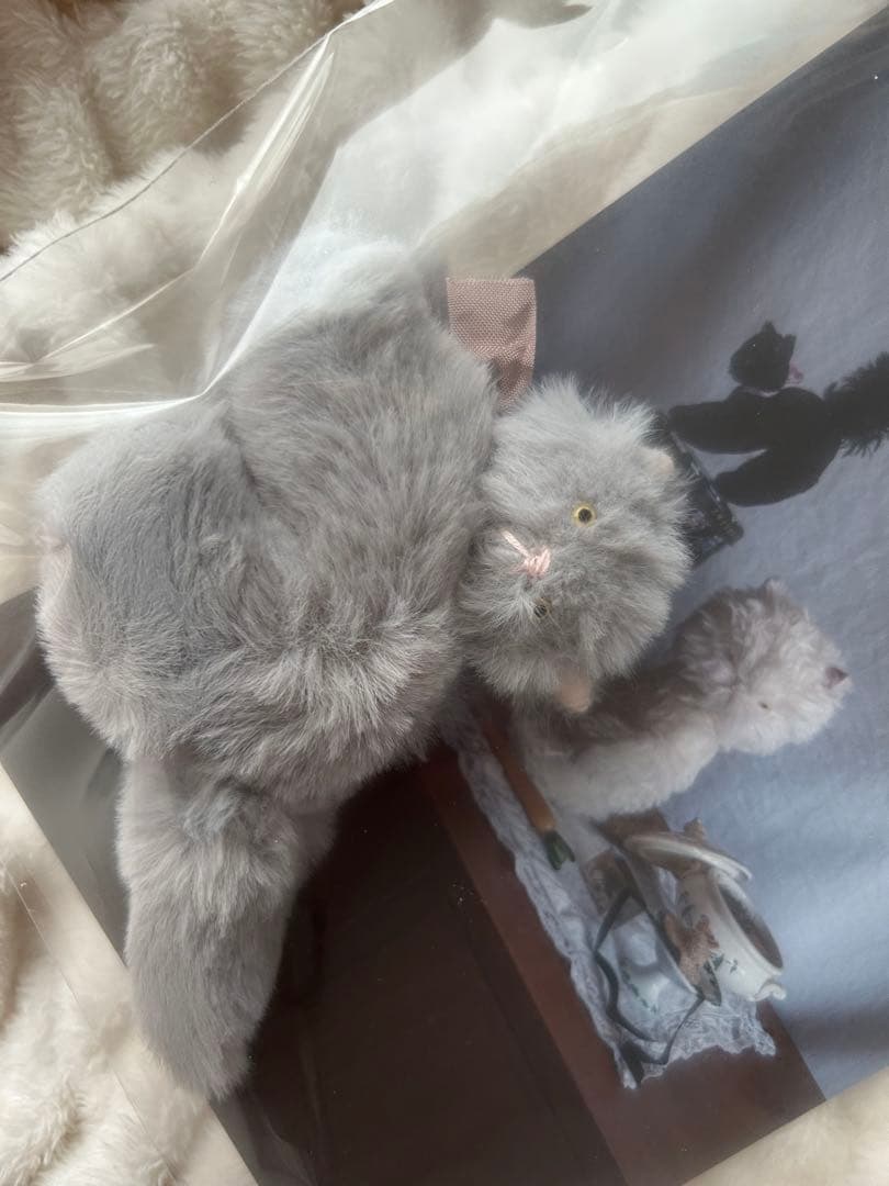 さて ぬいぐるみ