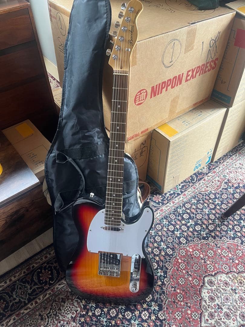 Bacchus BTE-1/R 3TS テレキャスター　ケース付き