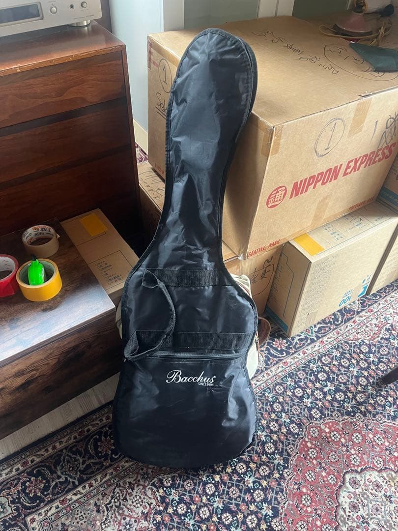 Bacchus BTE-1/R 3TS テレキャスター　ケース付き