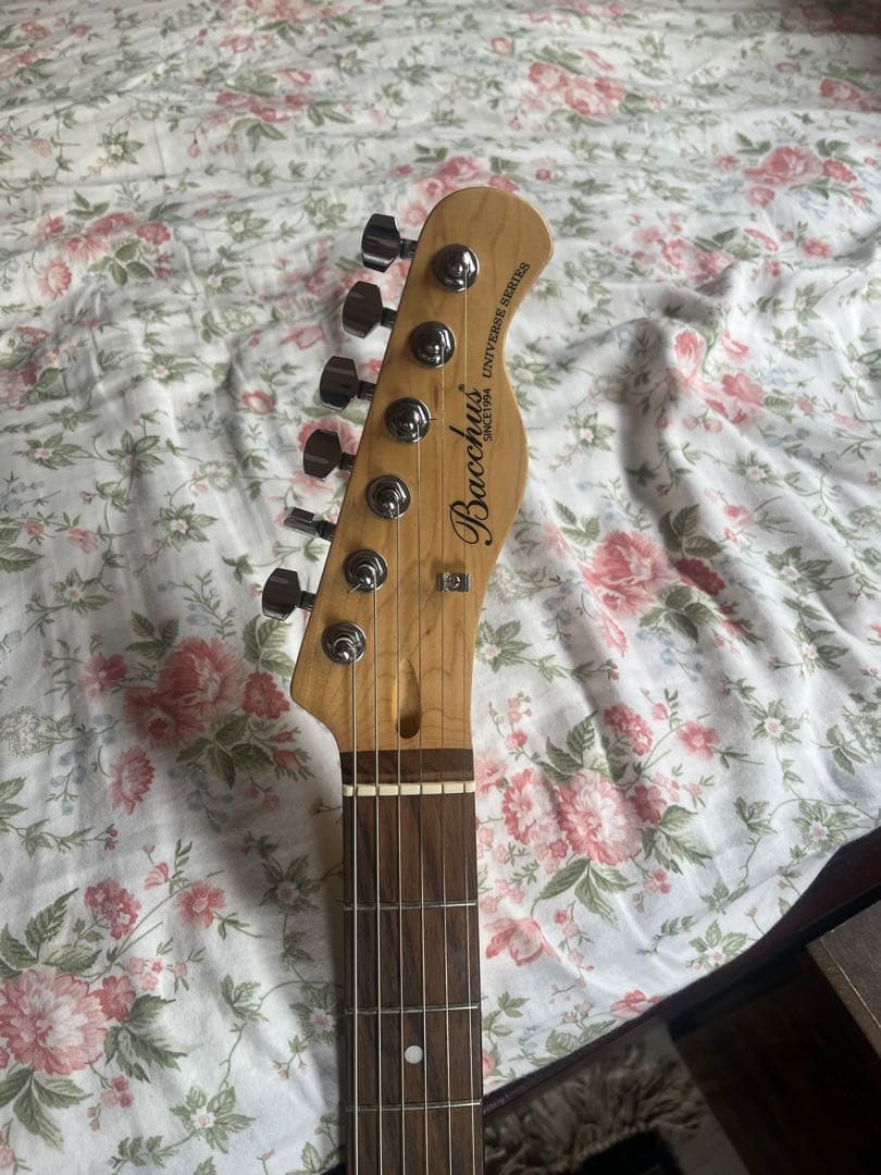 Bacchus BTE-1/R 3TS テレキャスター　ケース付き