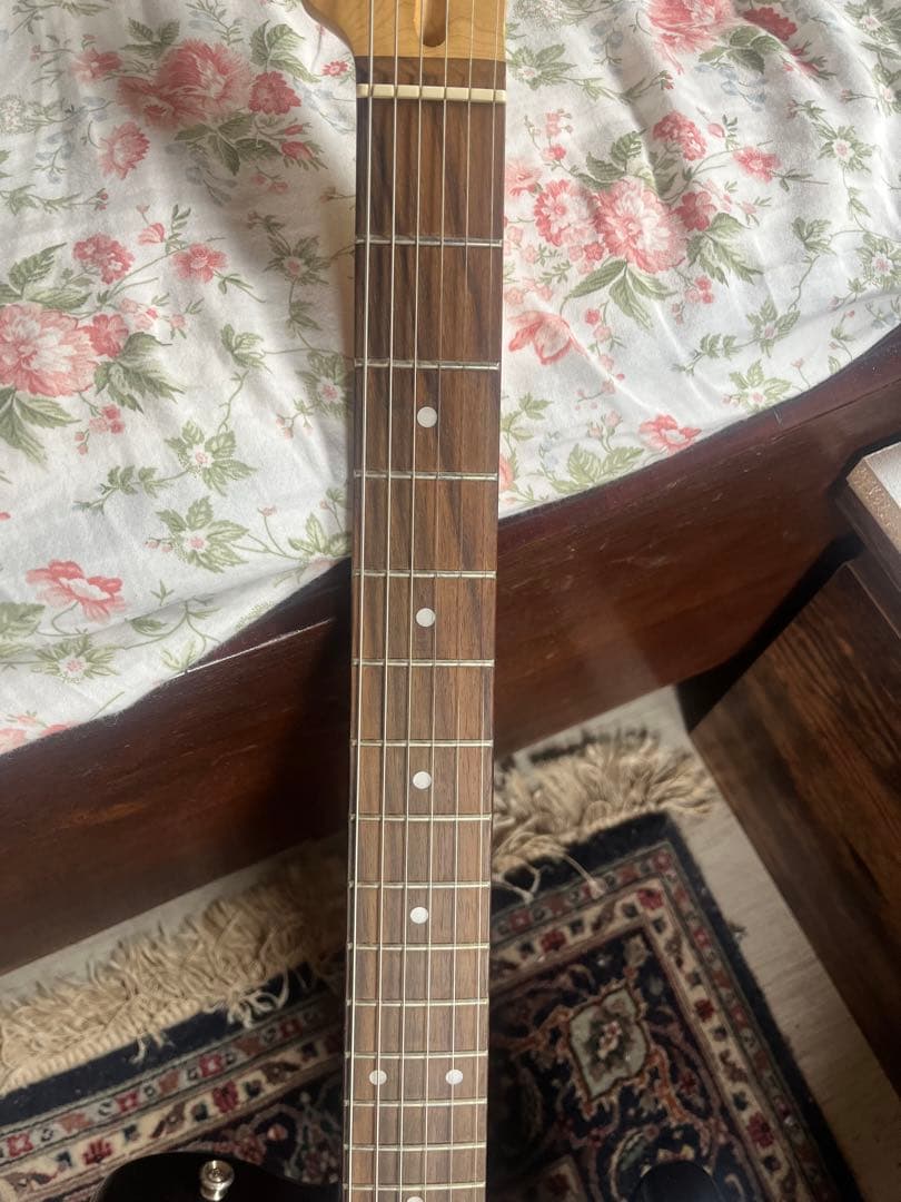 Bacchus BTE-1/R 3TS テレキャスター　ケース付き