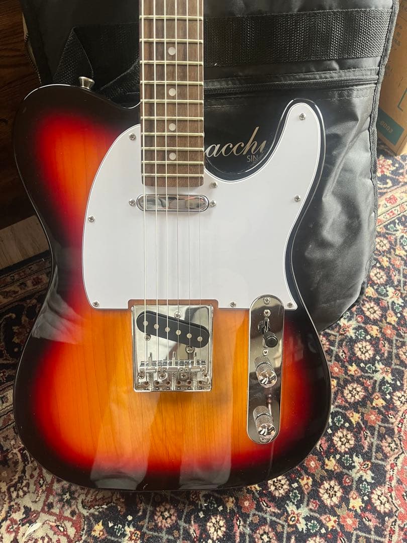 Bacchus BTE-1/R 3TS テレキャスター　ケース付き