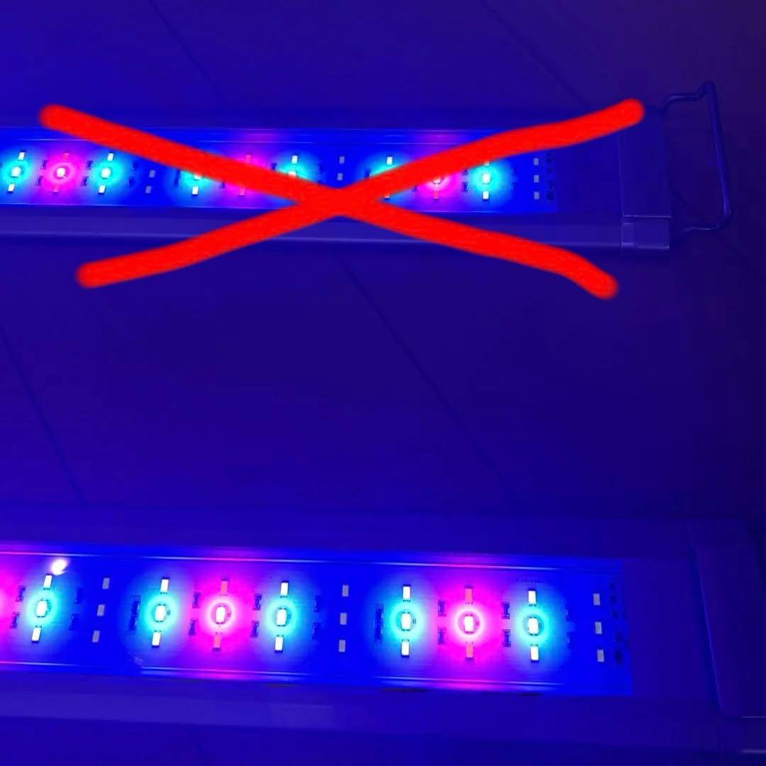 テトラ　パワーLEDプレミアム90