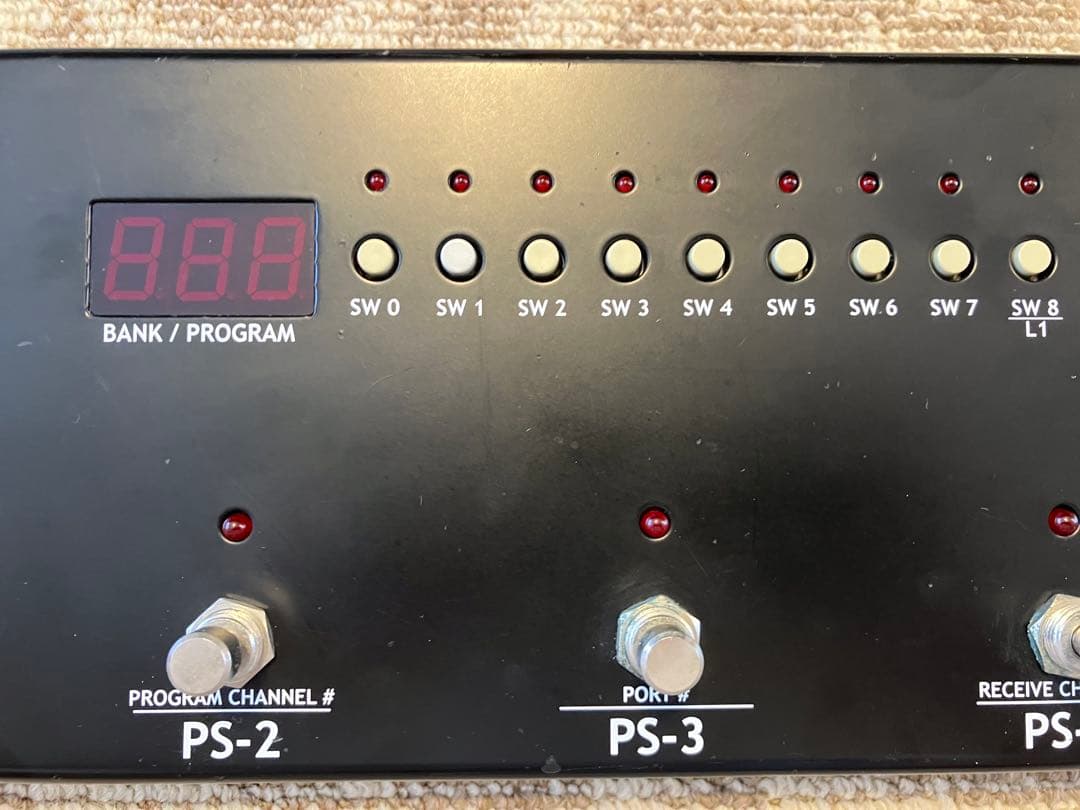 ギター CUSTOM AUDIO JAPAN RS 616