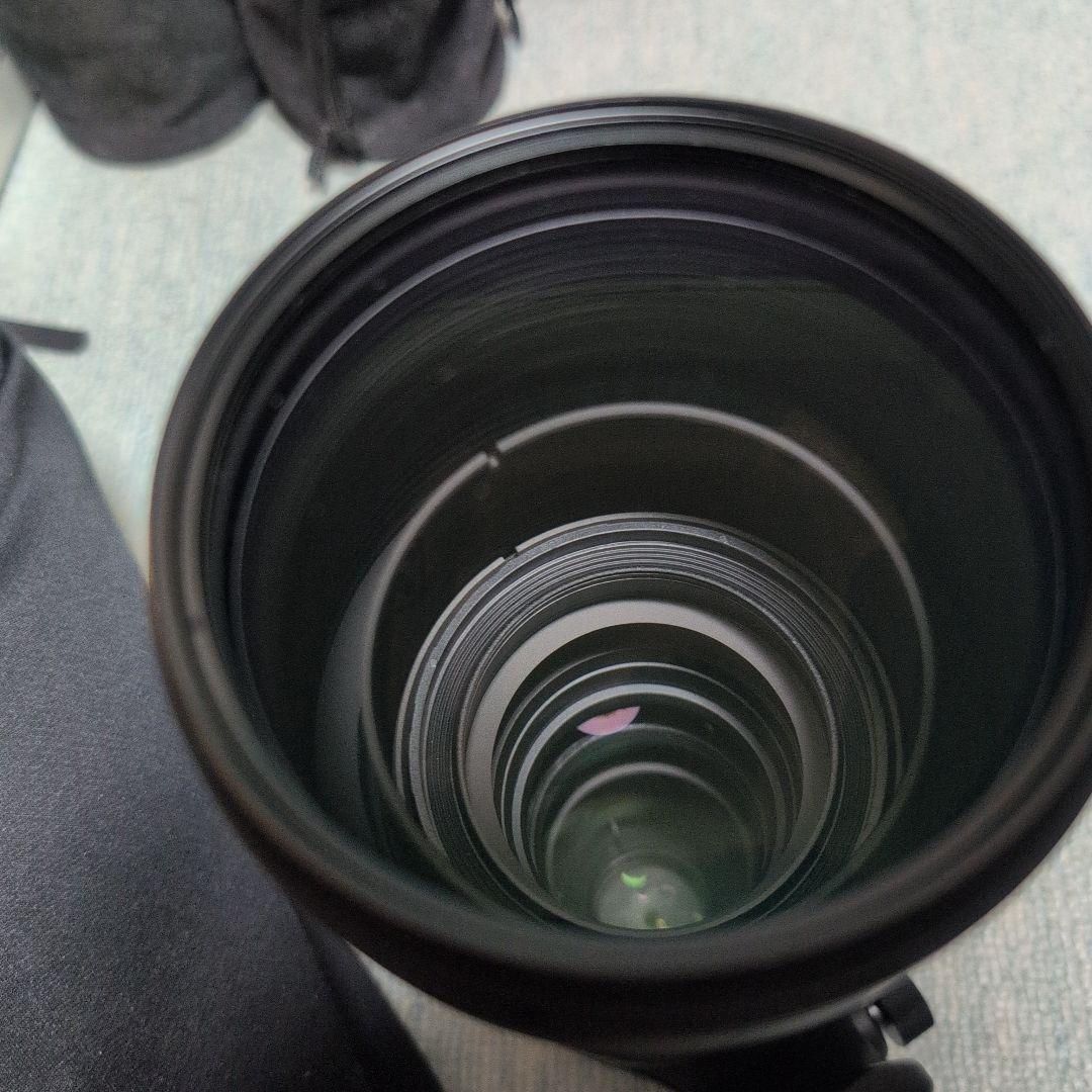 SIGMA（シグマ）Nikon用望遠レンズ 150-600mm