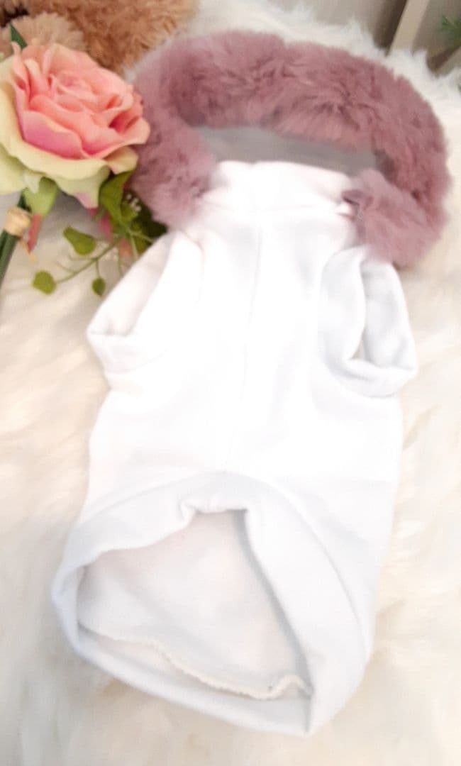 最大値下げ早い者勝ちitdogs新作パーカー