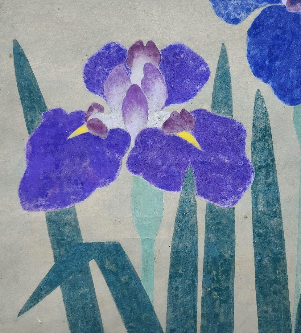 【花菖蒲図】春耕 2649 共箱 掛け軸　肉筆