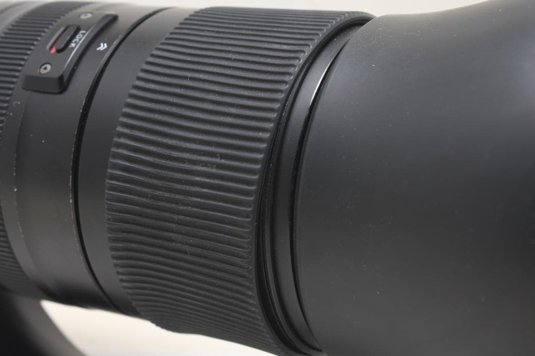 SP 150-600mm F5-6.3 Di VC USD G2 キヤノン