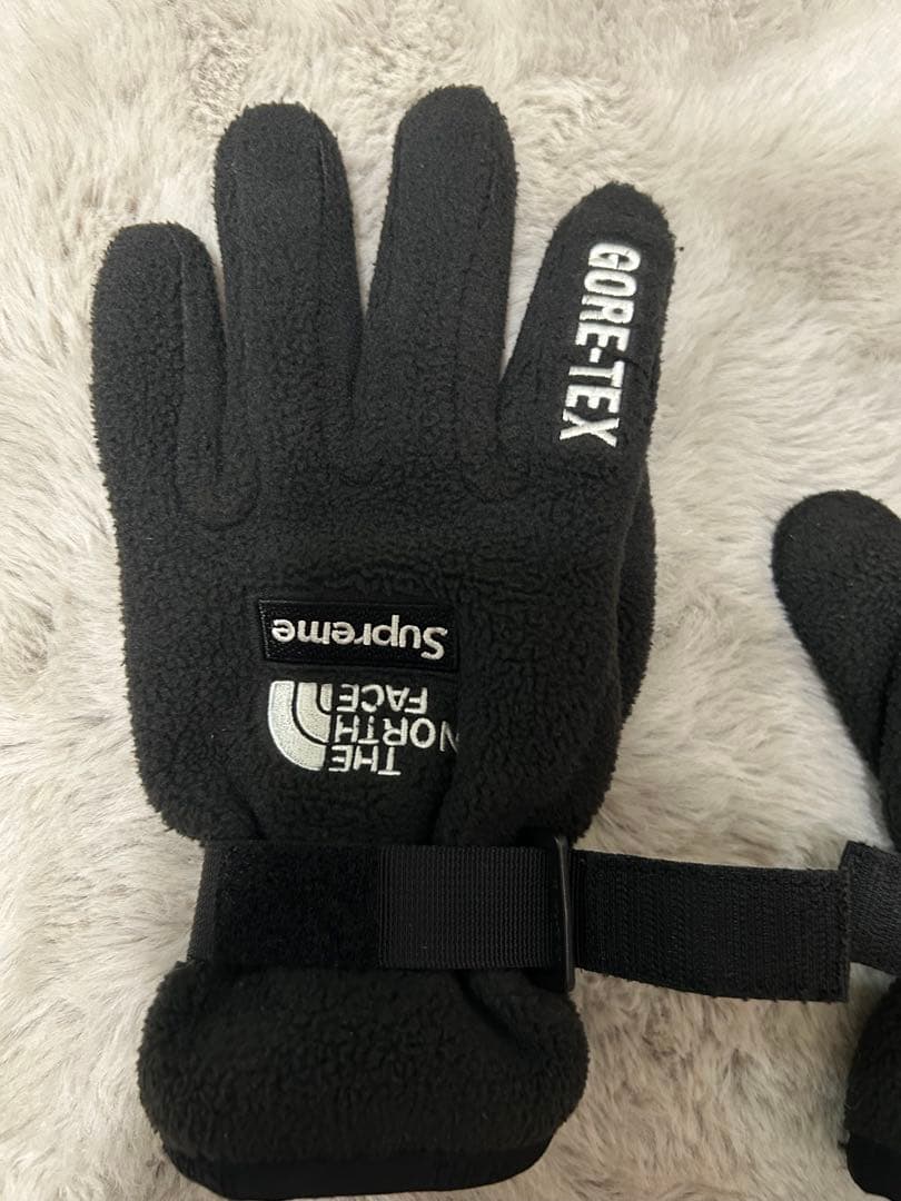 Supreme × THE NORTH FACE 手袋GORE-TEX RTG