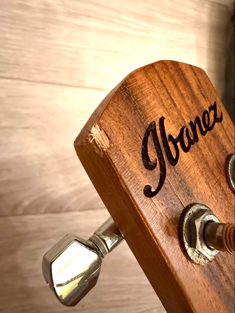 Ibanez EWP14WB ピッコロギター ケース&替えの弦付 送料込み