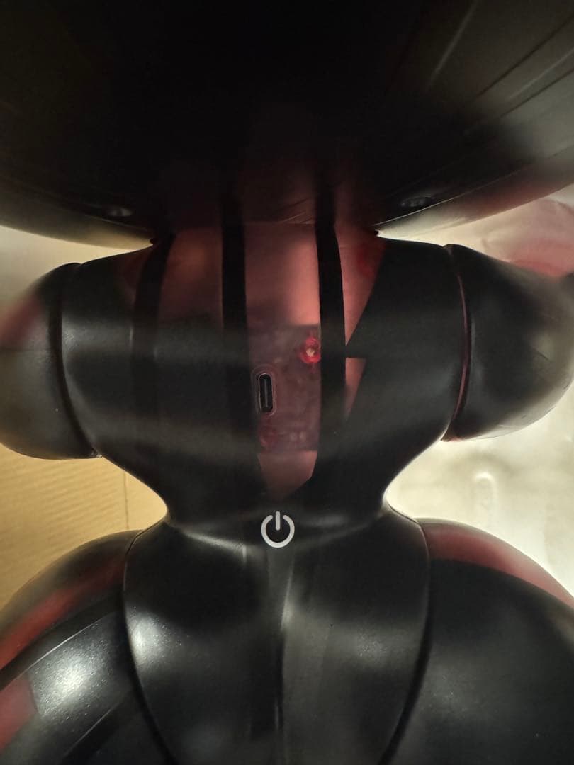 その他 MEGA a SKULLPANDA 1000% Red Crystal