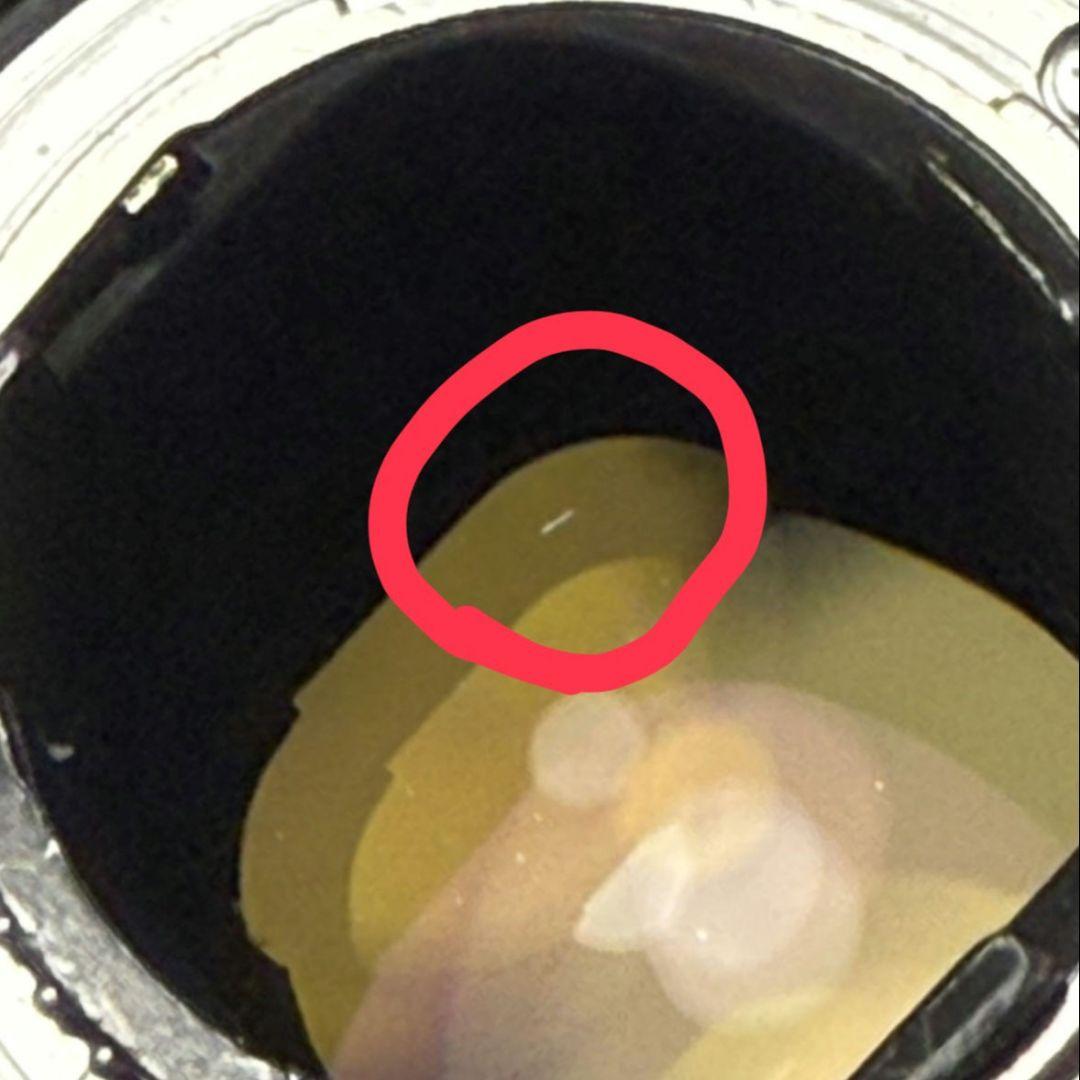 レンズ(ズーム) Nikon AF-S VR NIKKOR 70-200mm f/2.8G ED