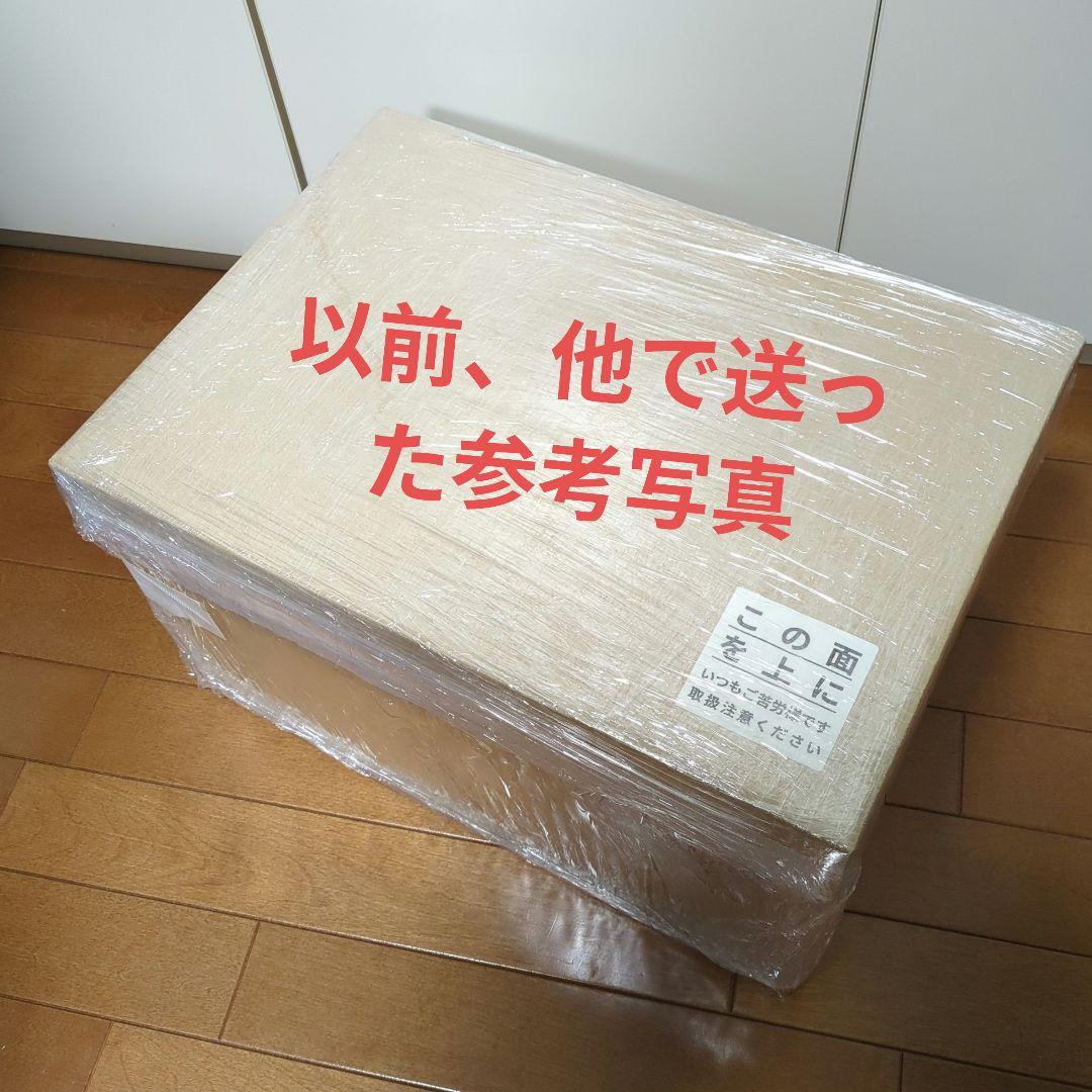 MGガンダムのプラモデル (ジャンク品)