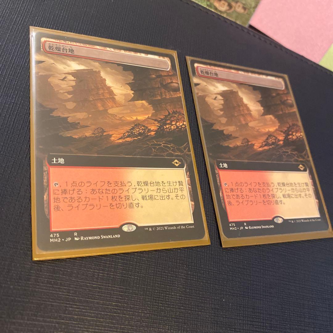 マジック：ザ・ギャザリング 乾燥台地 拡張版　R 2枚セット