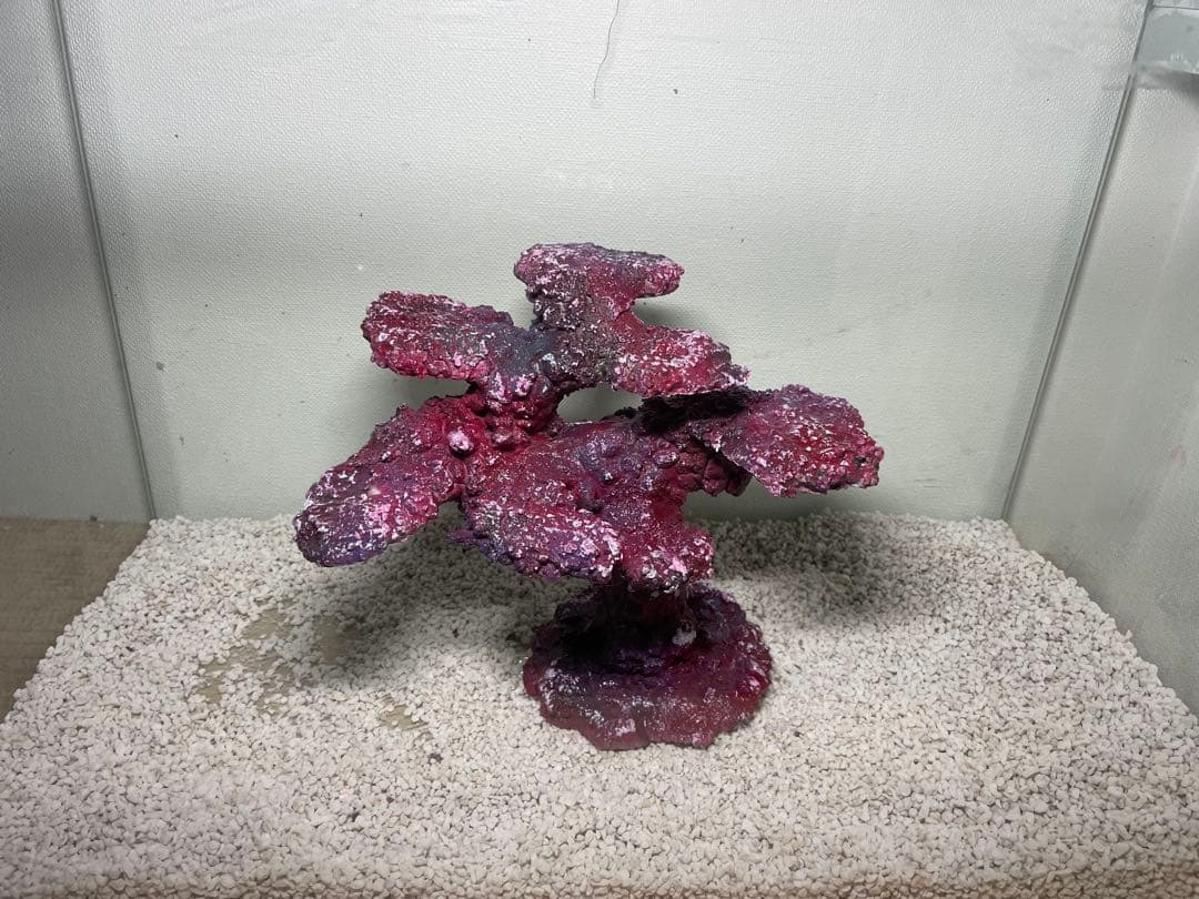 人工ライブロック　SHR34 アク抜き済み安心塗料使用