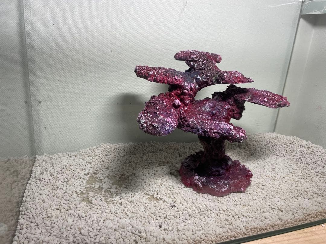 人工ライブロック　SHR34 アク抜き済み安心塗料使用