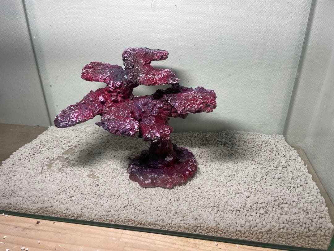 人工ライブロック　SHR34 アク抜き済み安心塗料使用