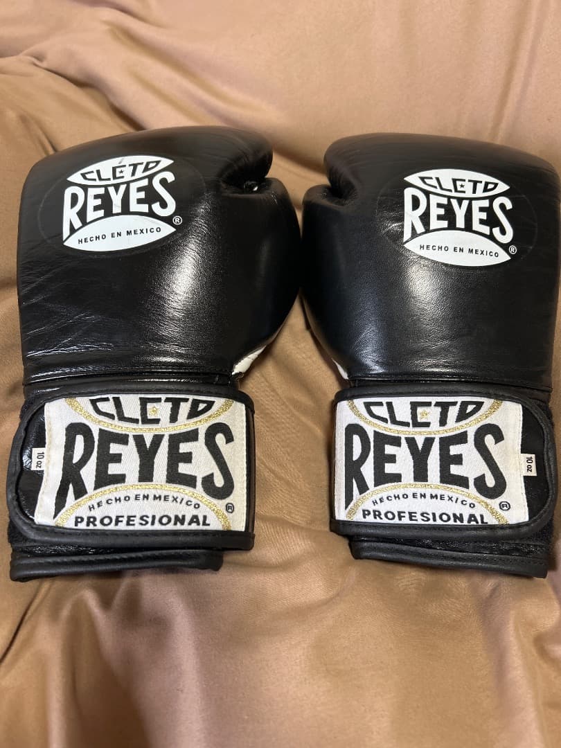 レイジェスボクシンググローブベルクロ式10オンス【超美品】