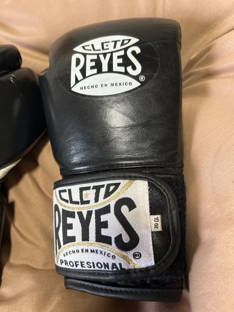 レイジェスボクシンググローブベルクロ式10オンス【超美品】