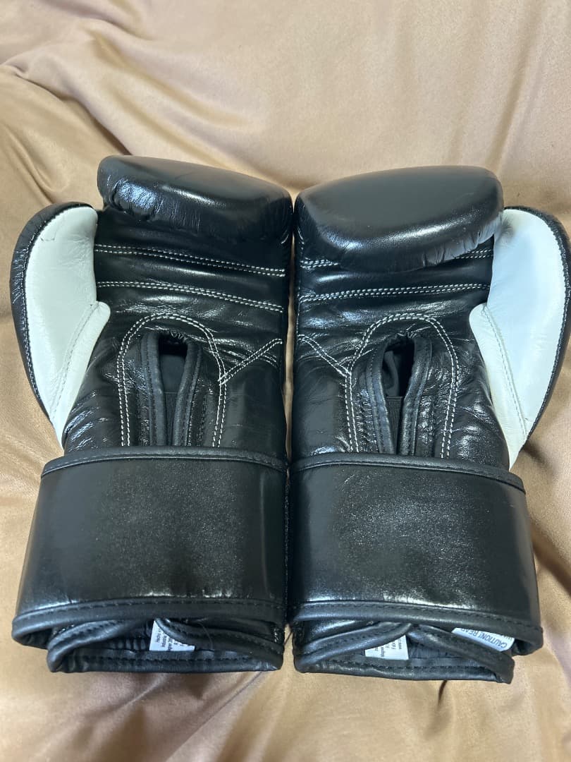 レイジェスボクシンググローブベルクロ式10オンス【超美品】