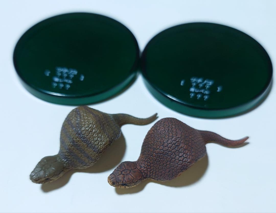 タカラトミー アーツ　不思議生物大百科　毒牙の暗殺者　毒ヘビ　7種　フルコンプ