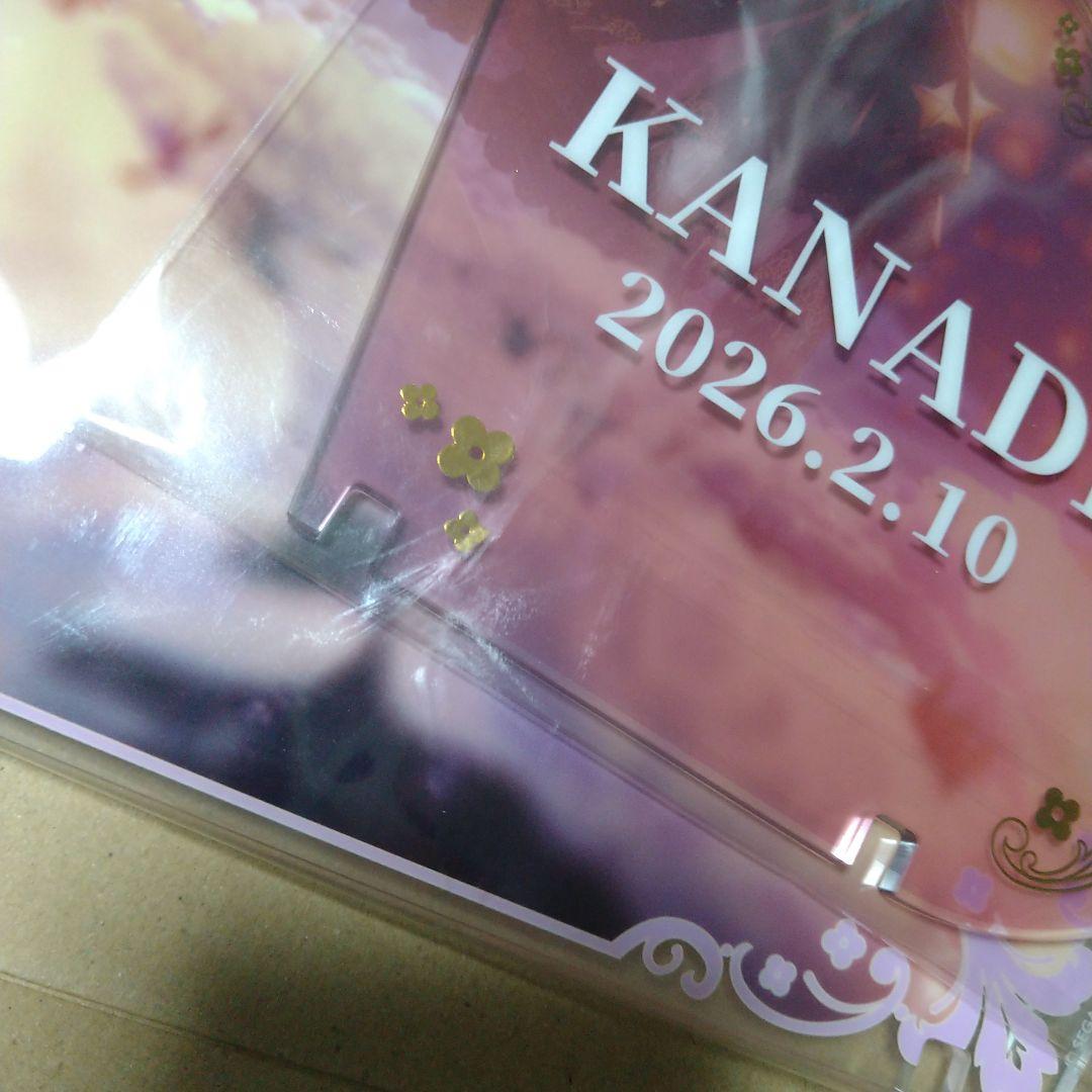 プロセカ 宵崎奏 はぴこれ BIGアクリルスタンド