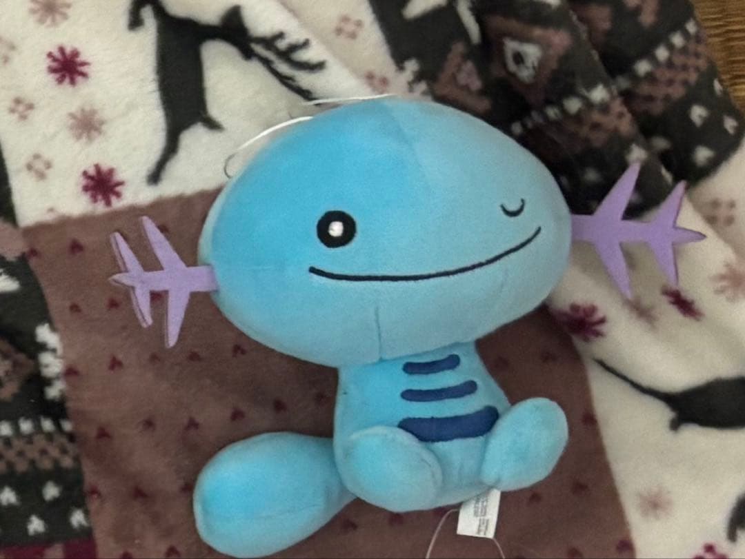 ポケモンfit ぬいぐるみ セット