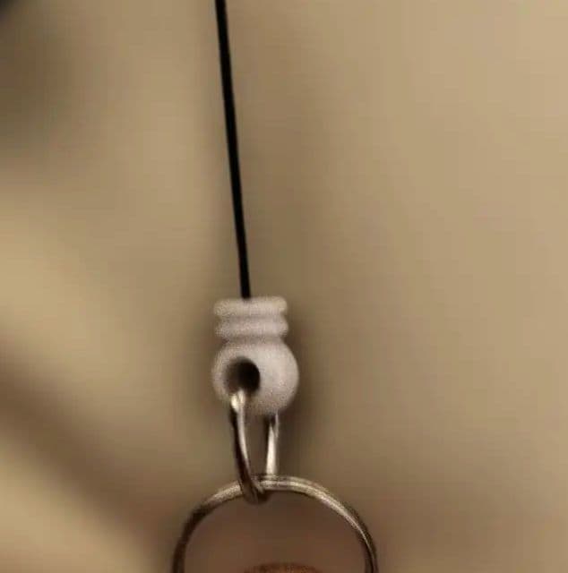 フィン ぬいぐるみ 大・中・小 サイズ セット