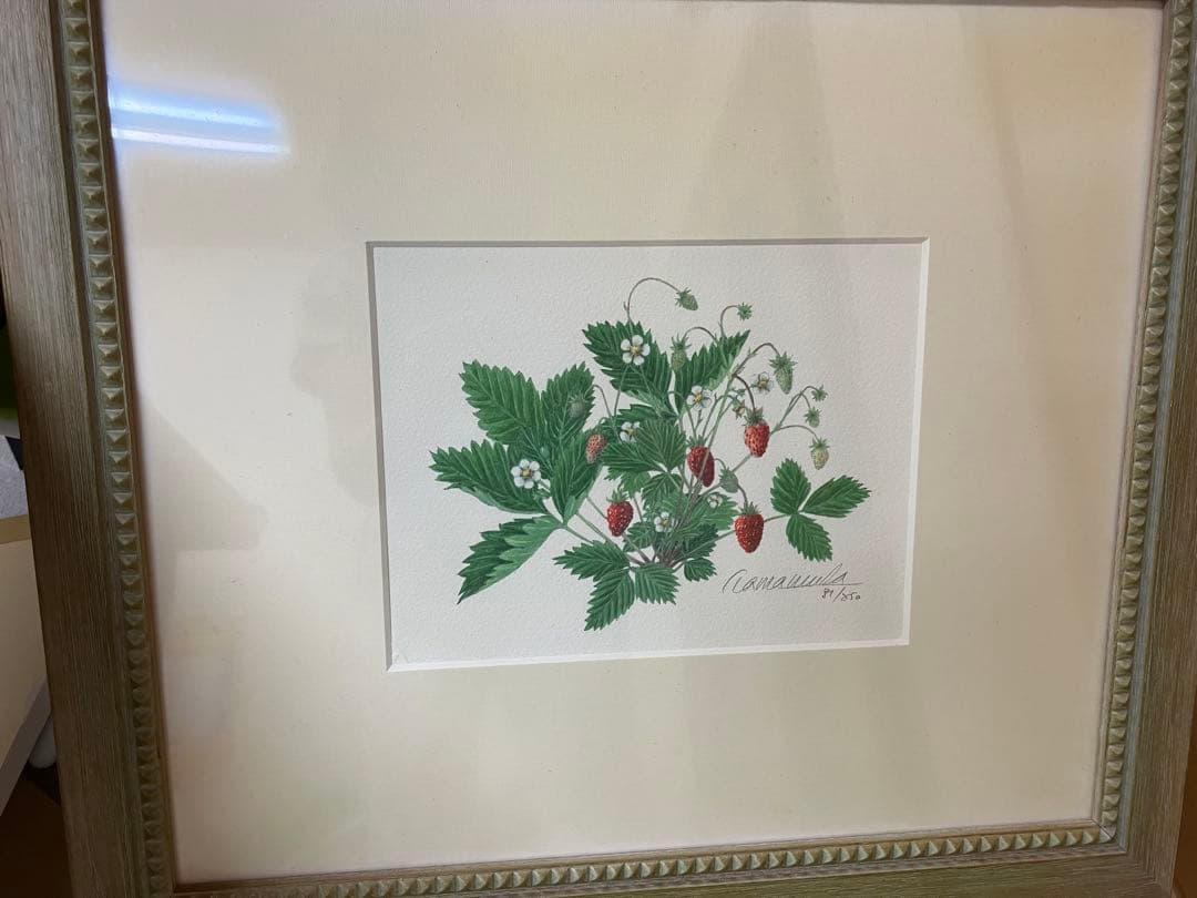 玉村豊男　森のイチゴ