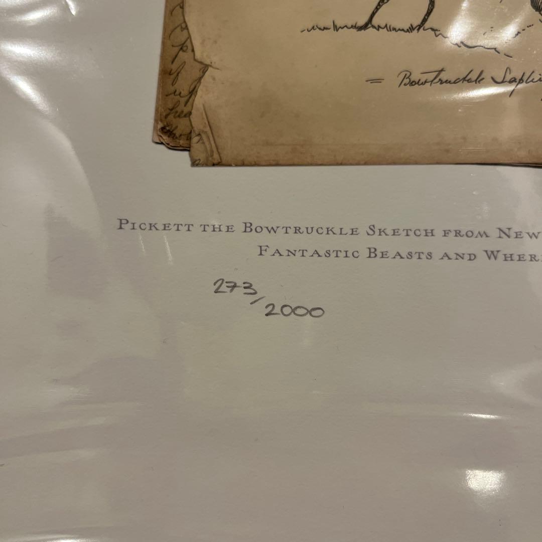 【世界限定 2000枚】ミナリマ the Bowtruckle Sketch