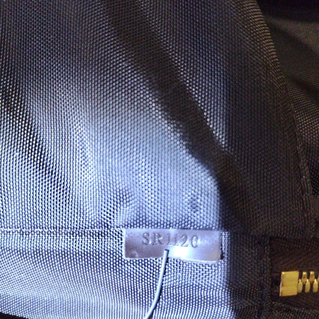 ルイ・ヴィトン　ダミエ　ペガス55