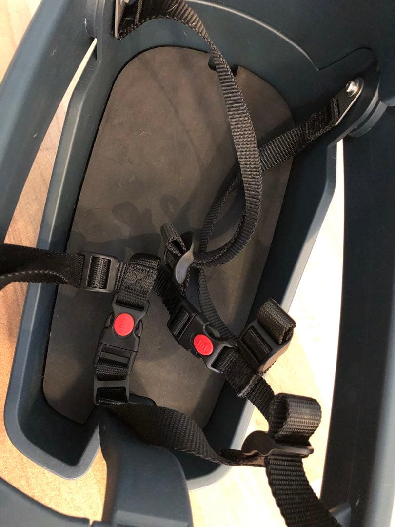 わんちゃんとサイクリング♪バディーライダー