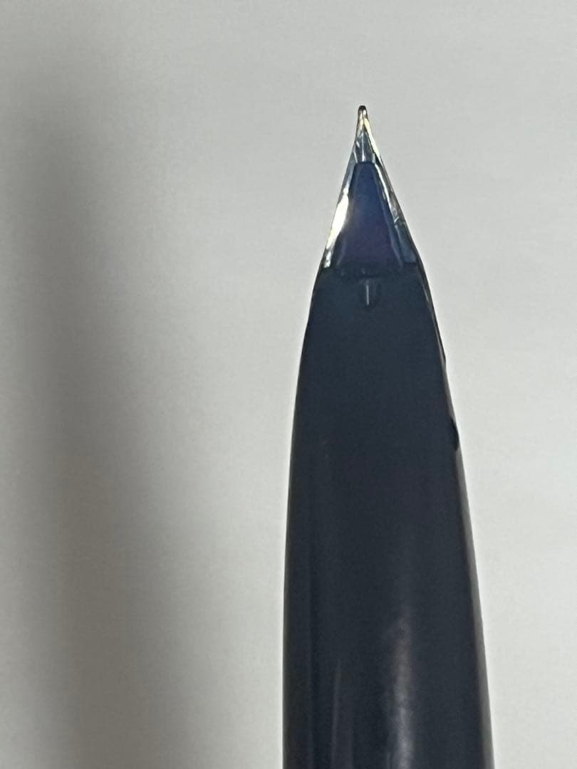 バ*★様 万年筆 漢字刻印付きPILOT シルバー製万年筆 14Kペン先 般若心