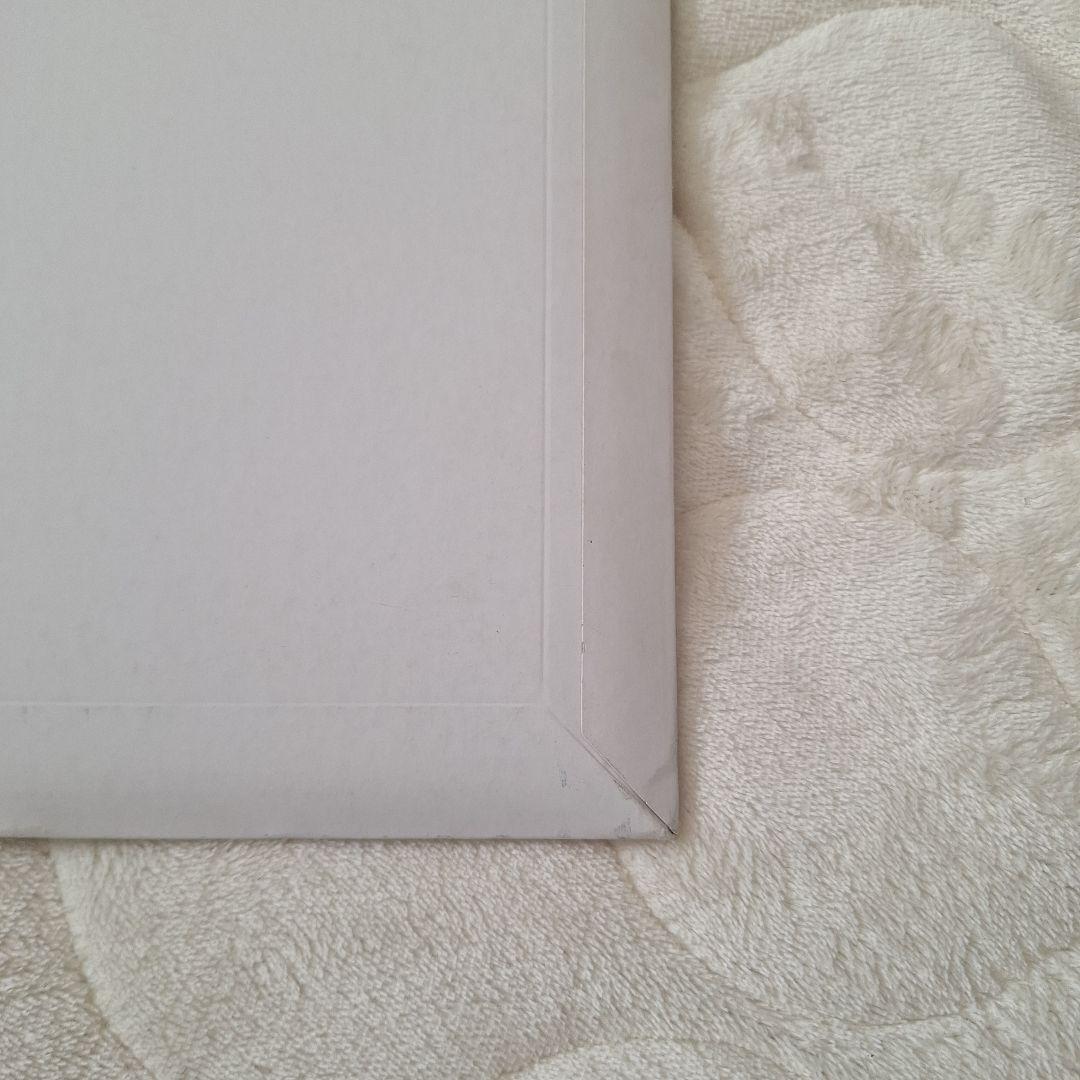 長濱ねるアザーカット写真集　未開封品