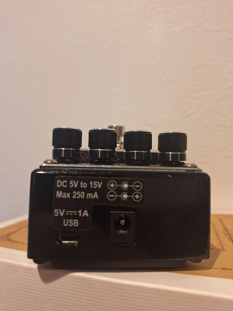 ギター BAC AUDIO/ACE DELAY