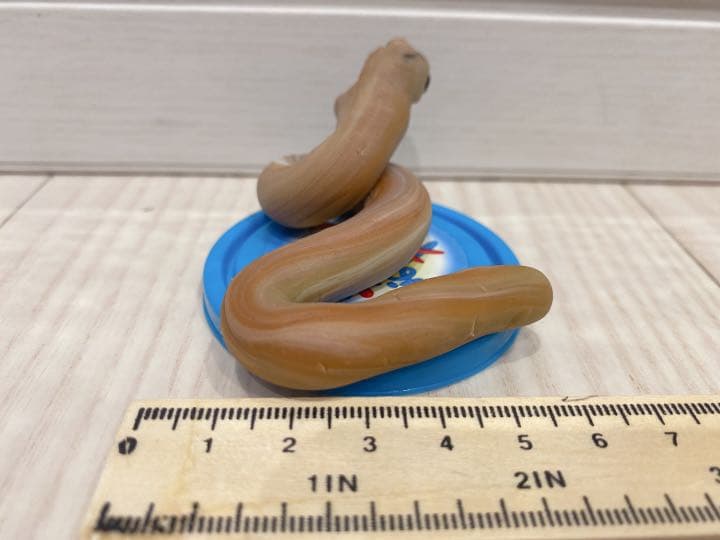 ヘビ　粘土　制作