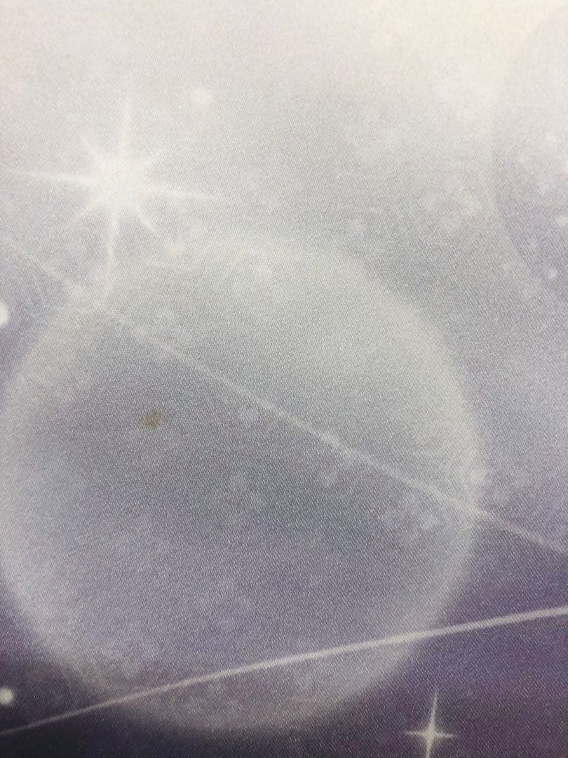 怪獣娘 (黒) ウルトラ怪獣擬人化計画 原画展限定 A2タペストリー ゼットン