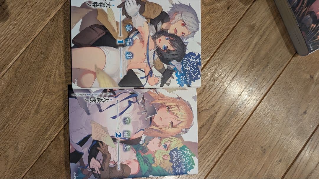 41冊セット ダンジョンに出会いを求めるのは間違っているだろうか ライトノベル