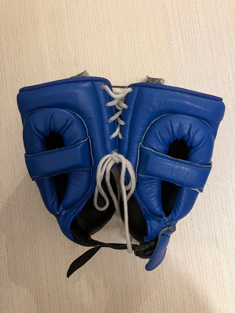 Winning ヘッドギア フルフェイスタイプ ブルー L FG-2900