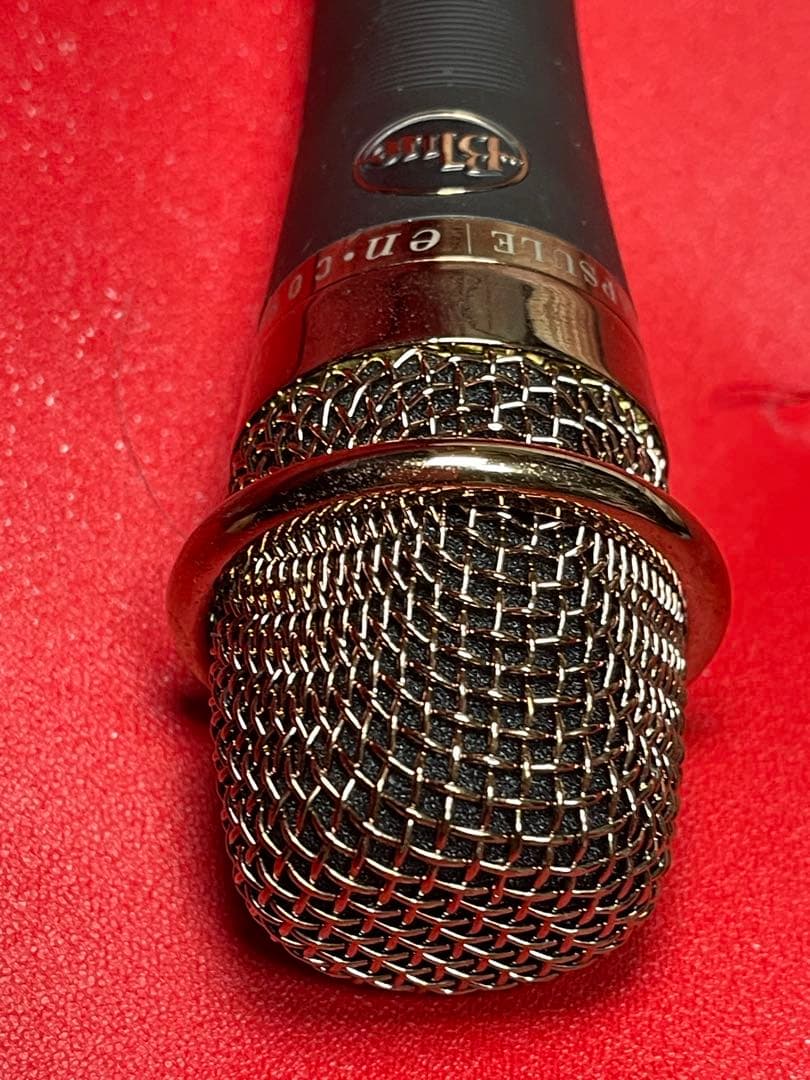 ほぼ未使用 入手困難 Blue enCORE 200 ダイナミックマイク