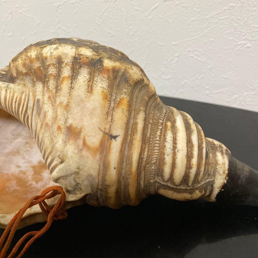 時代物 法螺貝 密教法具 武具 甲冑