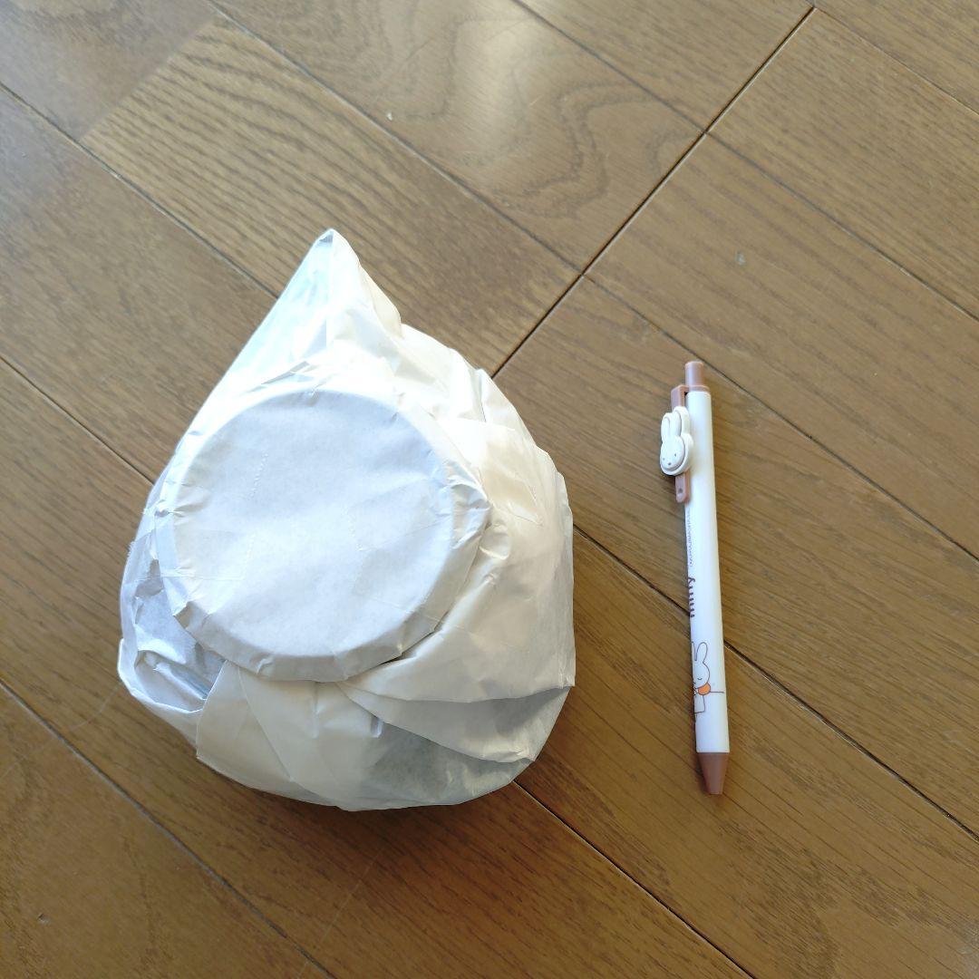 OIGEN 小鉄瓶　たまご型0.55L 箱付き　品番H-175