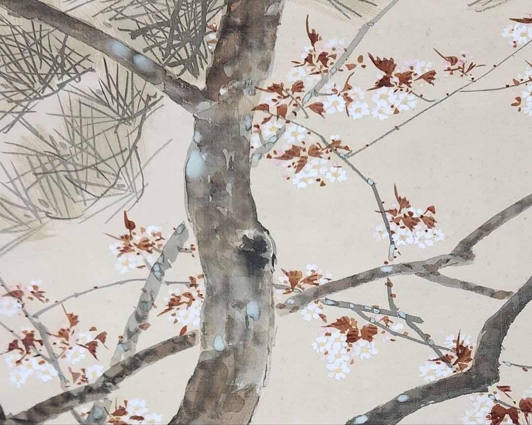 【桜下舞妓花見図】大江良起 736 掛け軸 肉筆