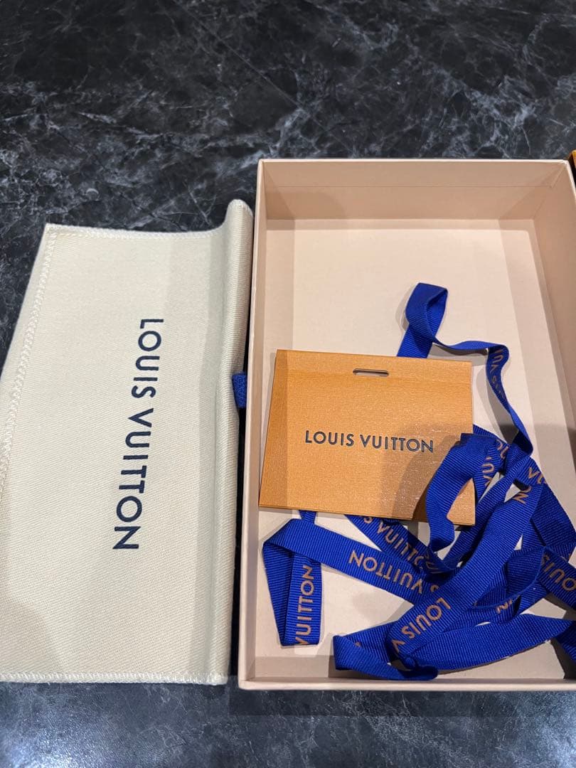 Louis Vuitton iPhoneケース　13pro