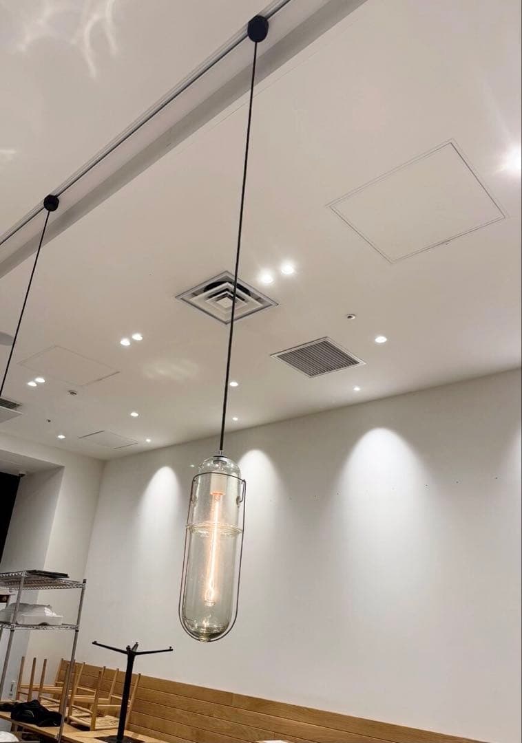 ピーター・アイビー　ライトカプセル　L クリアガラス ペンダントライト