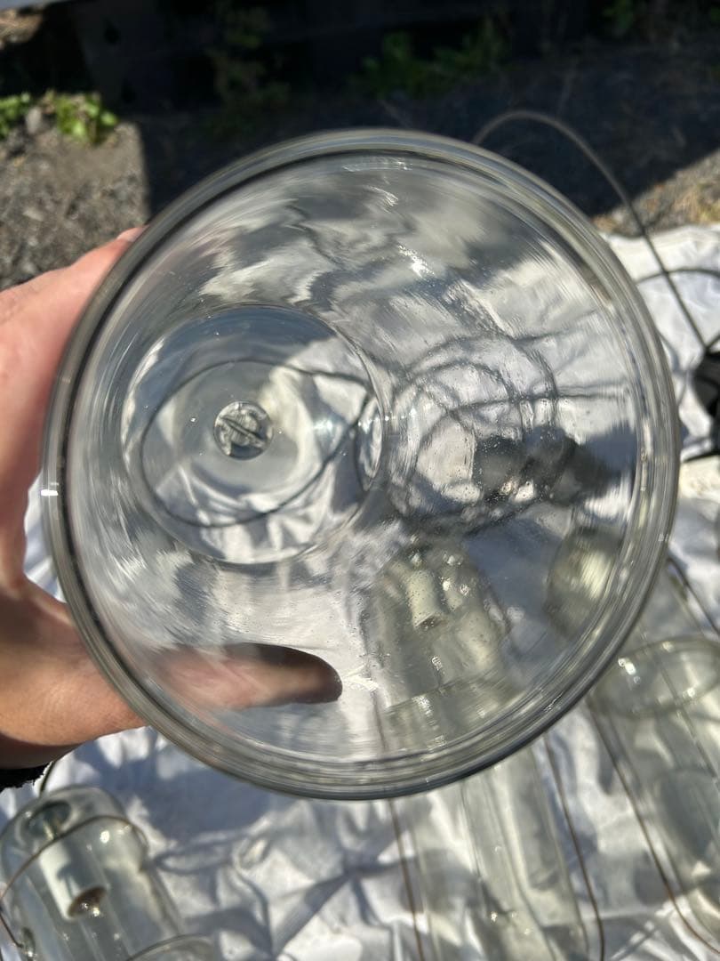 ピーター・アイビー　ライトカプセル　L クリアガラス ペンダントライト