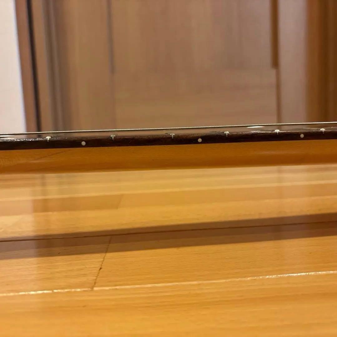 【たっちです】FERNANDES ゴールドパーツ仕様 トレモロアーム付